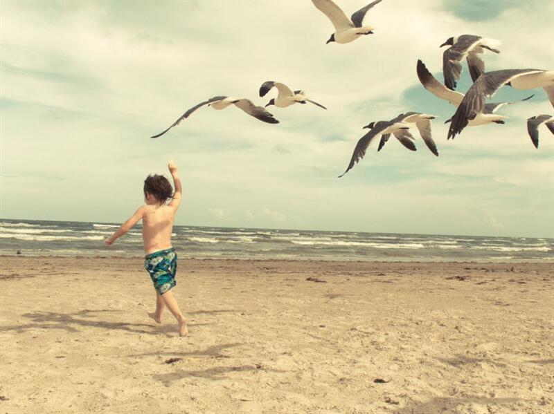 開嬰童食品連鎖店如何獲得客源