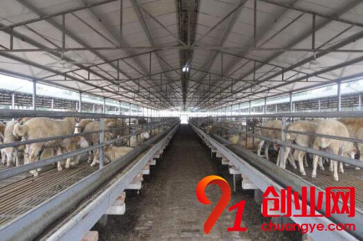 開養殖場之前要了解什么