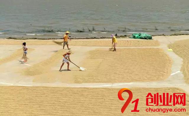 農村創業拿地技巧:這3類土地用地優惠政策最多!