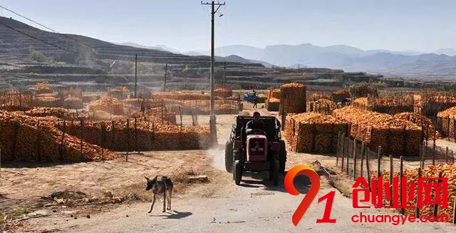 農村創業拿地技巧:這3類土地用地優惠政策最多!