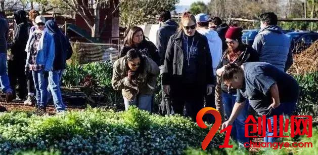 共享農(nóng)業(yè):這些案例告訴我們,新商機(jī)真的來了!