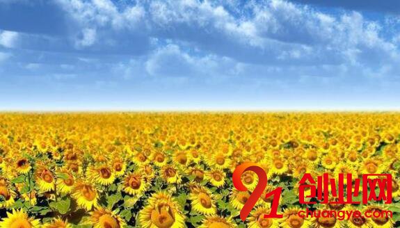 揭秘雅詩蘭黛的創業秘密