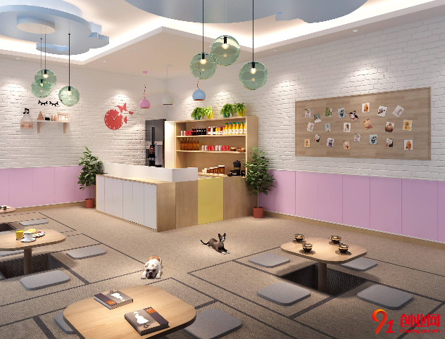 80后小伙創業:從狗保姆到寵物店Boss