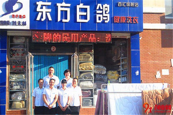 東方白鴿加盟條件