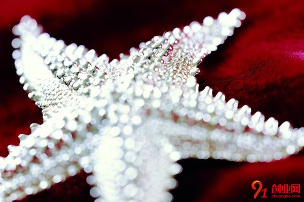 1320銀飾加盟條件