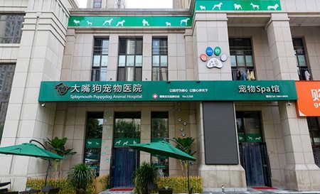 大嘴狗寵物醫院 大嘴狗寵物醫院