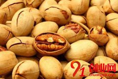 三只松鼠的成功創業故事：三只松鼠營銷模式分析