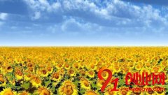 揭秘雅詩蘭黛的創業秘密