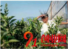 七旬老人為何能再度創業成功？