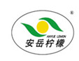 安岳檸檬