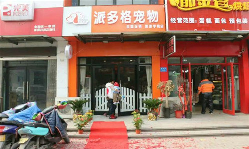 派多格寵物 派多格寵物