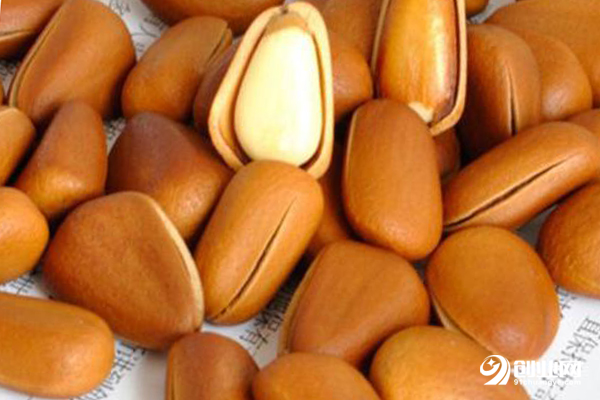 卡塔利亞加盟條件 卡塔利亞加盟條件