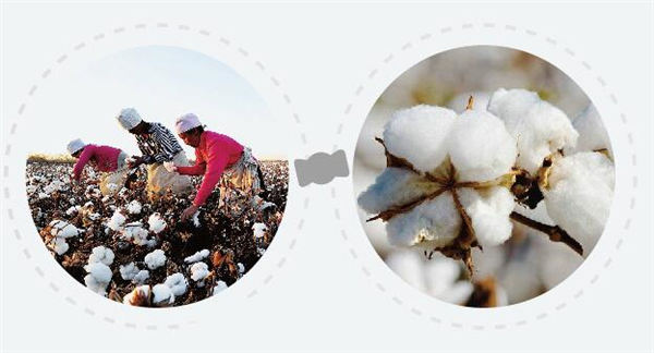 叻貝兒加盟條件 叻貝兒加盟條件