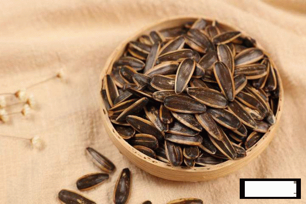 傻子瓜子零食加盟條件 傻子瓜子零食加盟條件