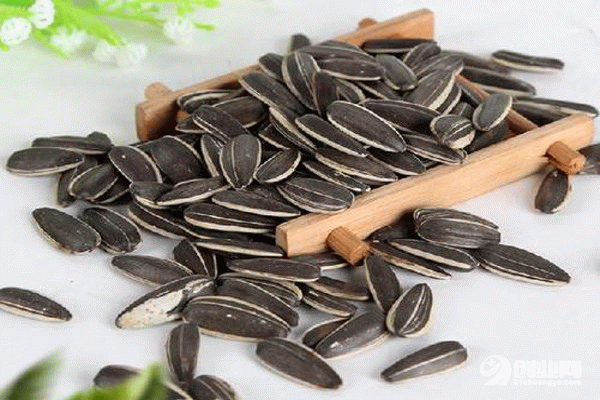 傻子瓜子零食加盟 傻子瓜子零食加盟