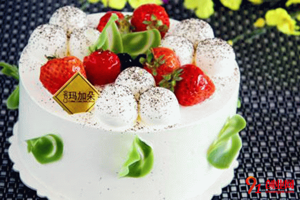 瑪加朵加盟條件 瑪加朵加盟條件