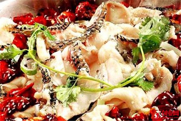 金椒魚火鍋加盟流程