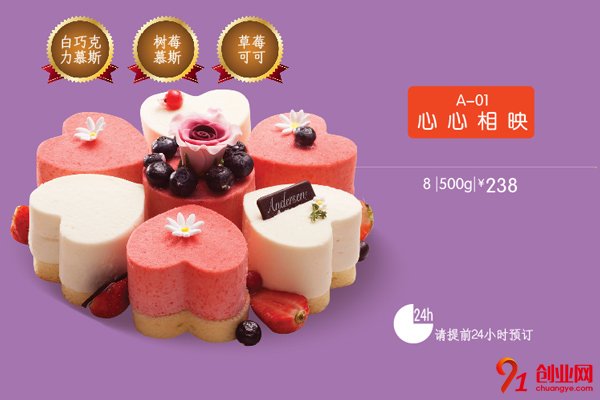 安德魯森加盟流程