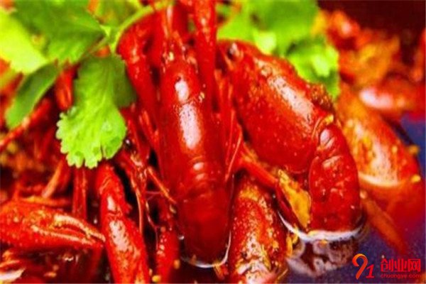 段氏龍蝦加盟條件