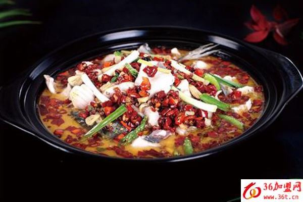 魚樂圈加盟 魚樂圈加盟