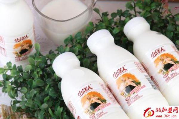 小洋人加盟條件 小洋人加盟條件