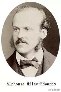 世界上棲息海拔高度最高的靈長類動物-滇金絲猴