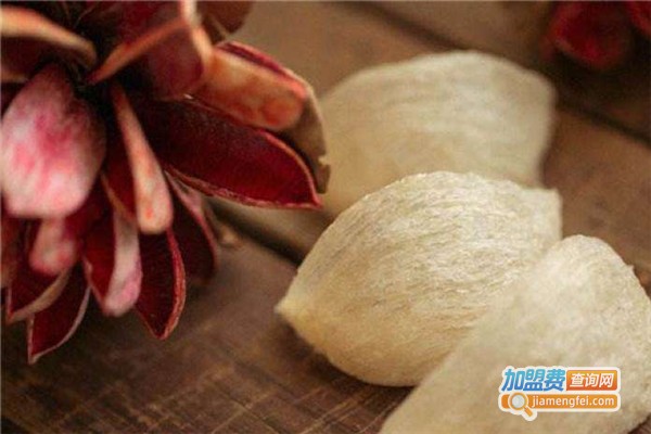 巢工廠燕窩加盟費