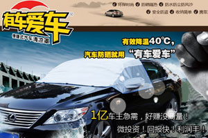 有車愛車清涼罩