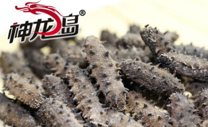 神龍島海參加盟_2