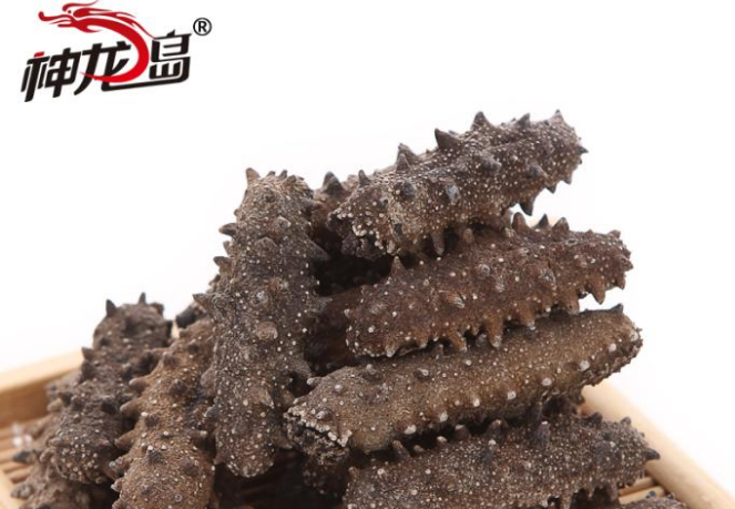 神龍島海參加盟_3