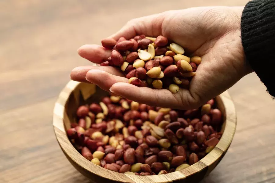 在山林只買大紅腸?你錯過了整桌美食