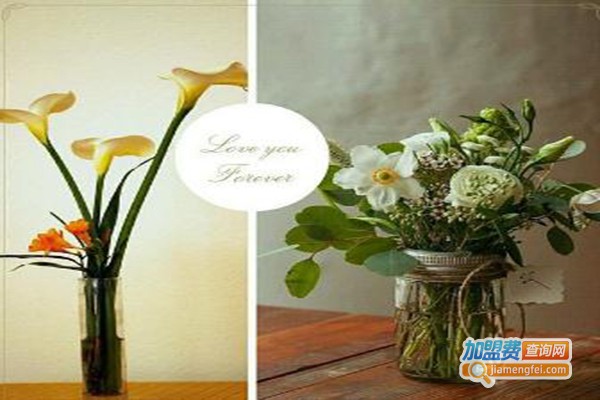 光彩花藝花店加盟