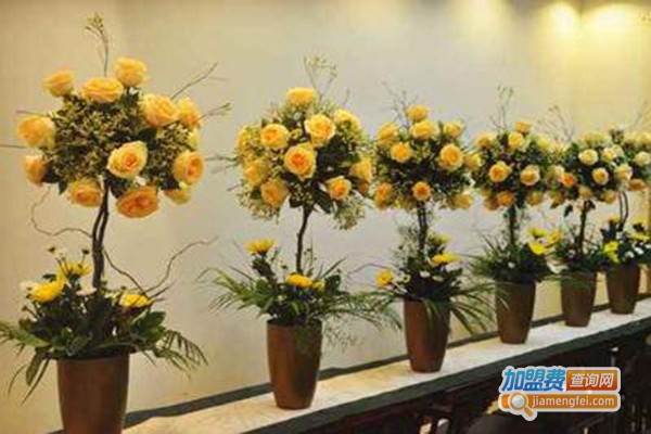 光彩花藝花店加盟費(fèi)