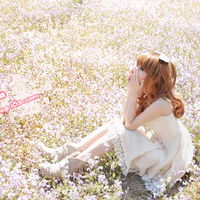 貴度集成灶加盟