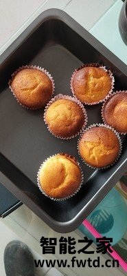 長帝小饞貓烤箱怎么樣用后感受大吐槽！ 