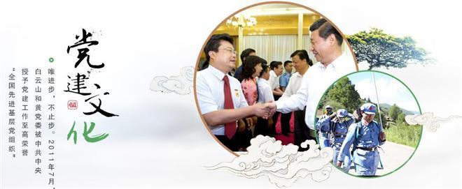 廣州白云山和記黃埔中藥有限公司