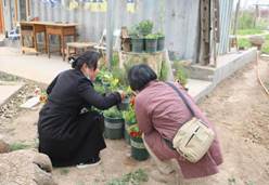 現(xiàn)場園藝活動