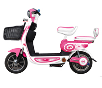 鐵駱駝電瓶修復