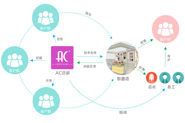 AC專業彩妝品牌內部關系示意圖