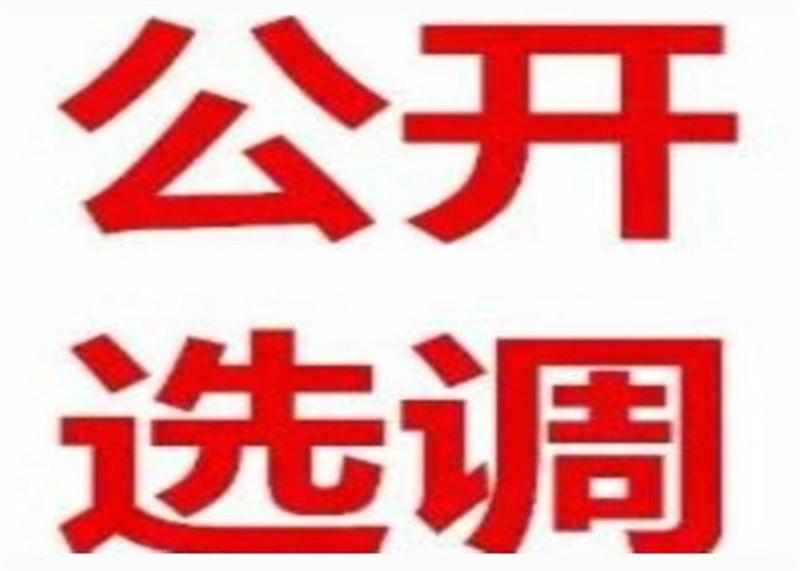 主營項目_河南大公教育