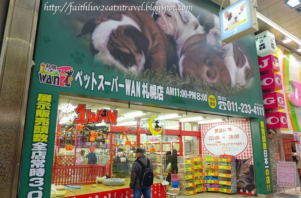如何開一家寵物店