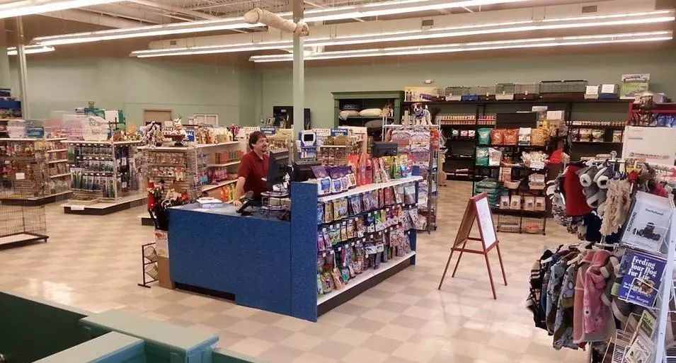 如何開一家寵物店