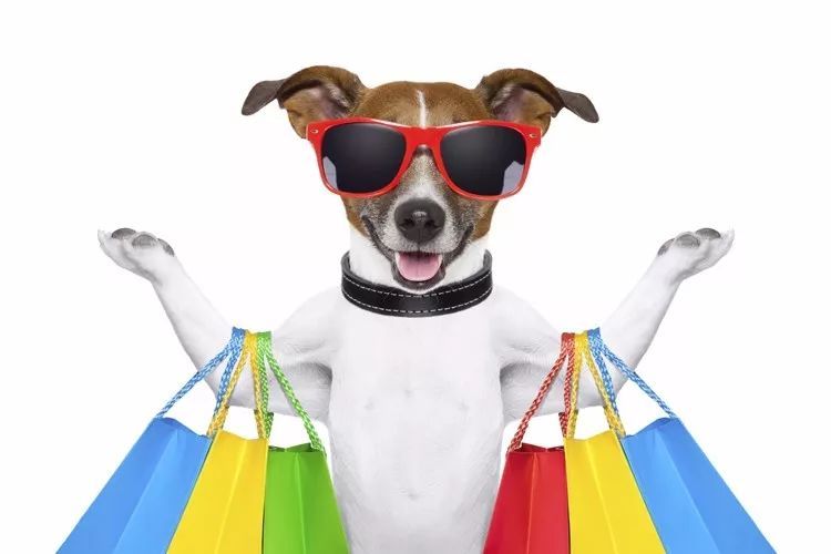 如何開一家寵物店