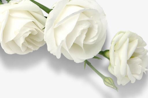 男士護膚品代理加盟,云閃付和支付寶解綁不了